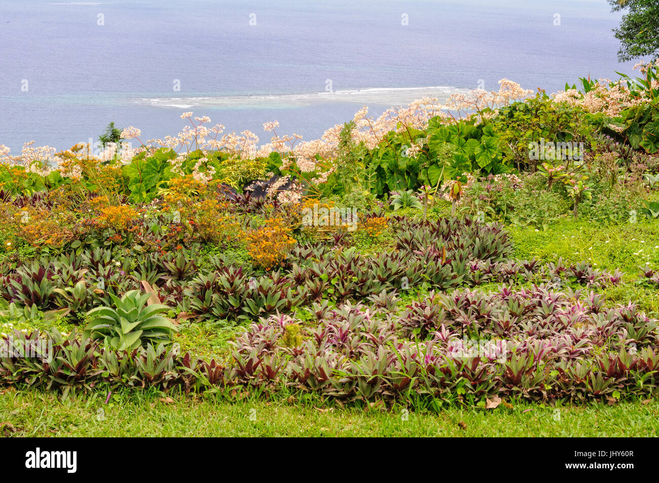 The Summit Gardens are the largest tropical gardens in the South Pacific - Port Vila, Efate Island, Vanuatu Stock Photo