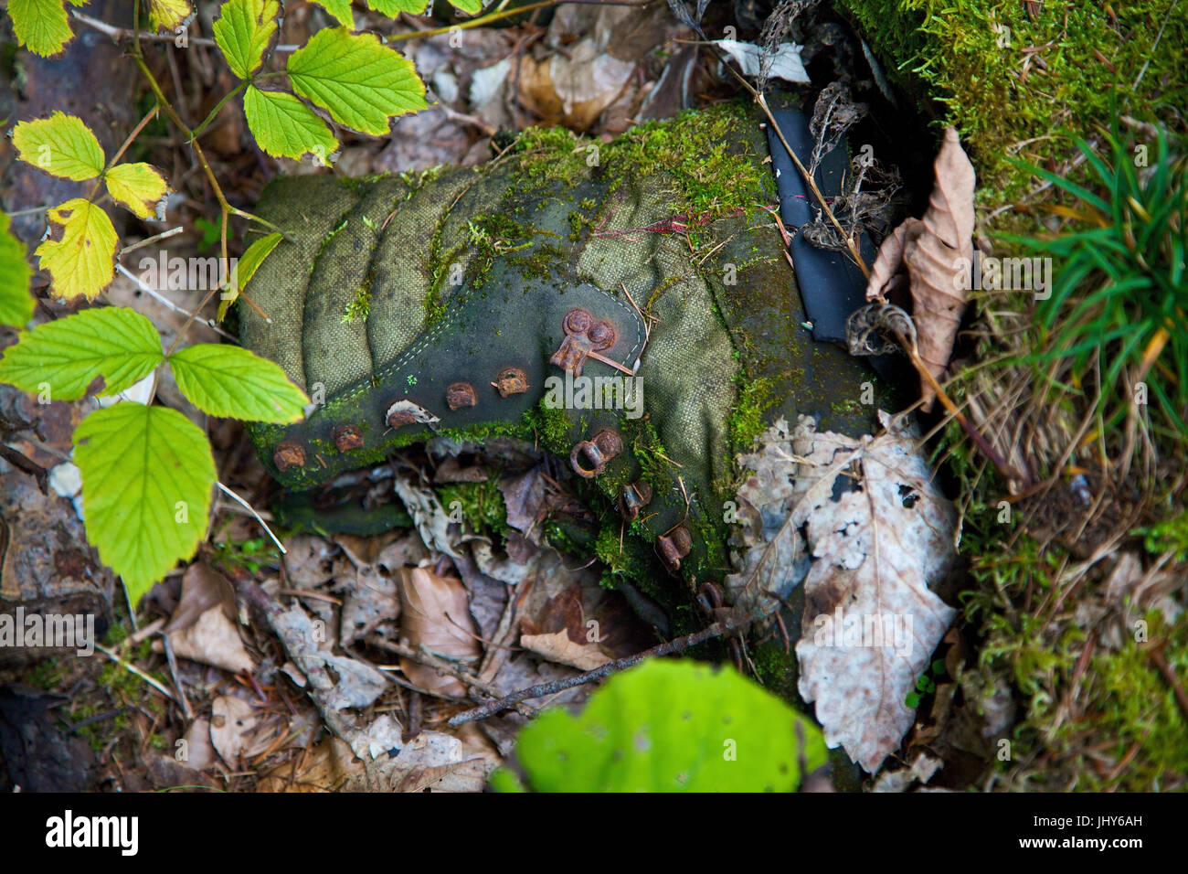 Travelling shoe rots in the wood - Rotting hiking boat, Wanderschuh verrottet im Wald - Rotting hiking boot Stock Photo