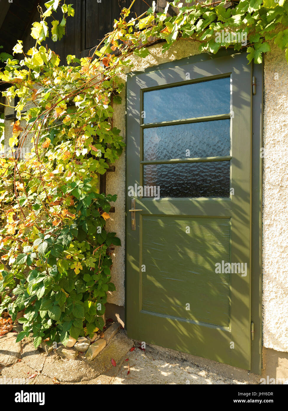 Door with wine grow around - Door overgrown with vine, Tür mit Wein umwachsen - Door overgrown with vine Stock Photo
