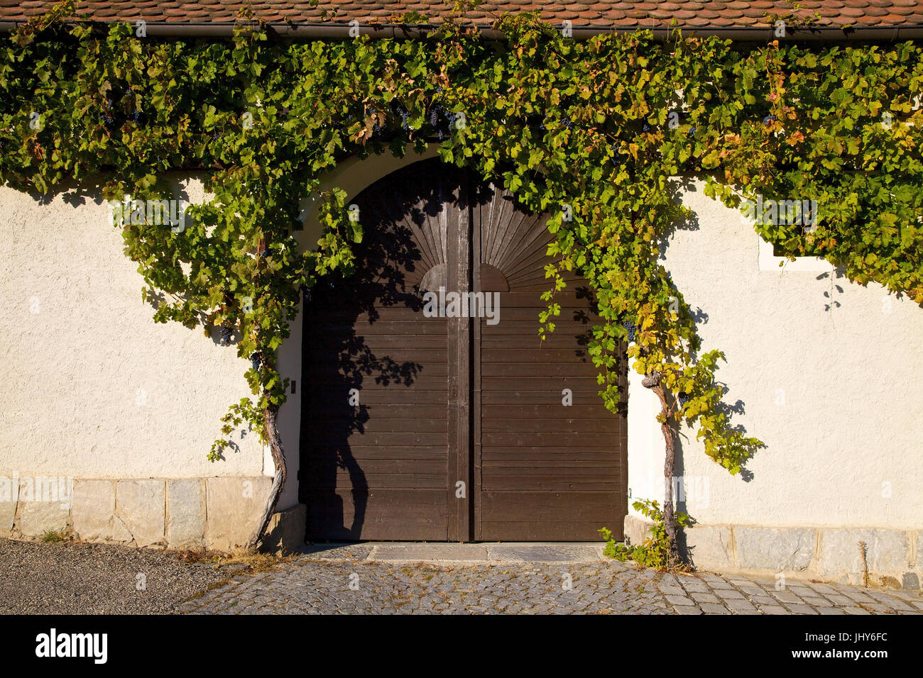 With wine umranktes court gate in spitz / the Danube, Austria, Lower Austria, Wachau - yard gate in spitz / the Danube, Austria, Lower Austria, Wachau Stock Photo