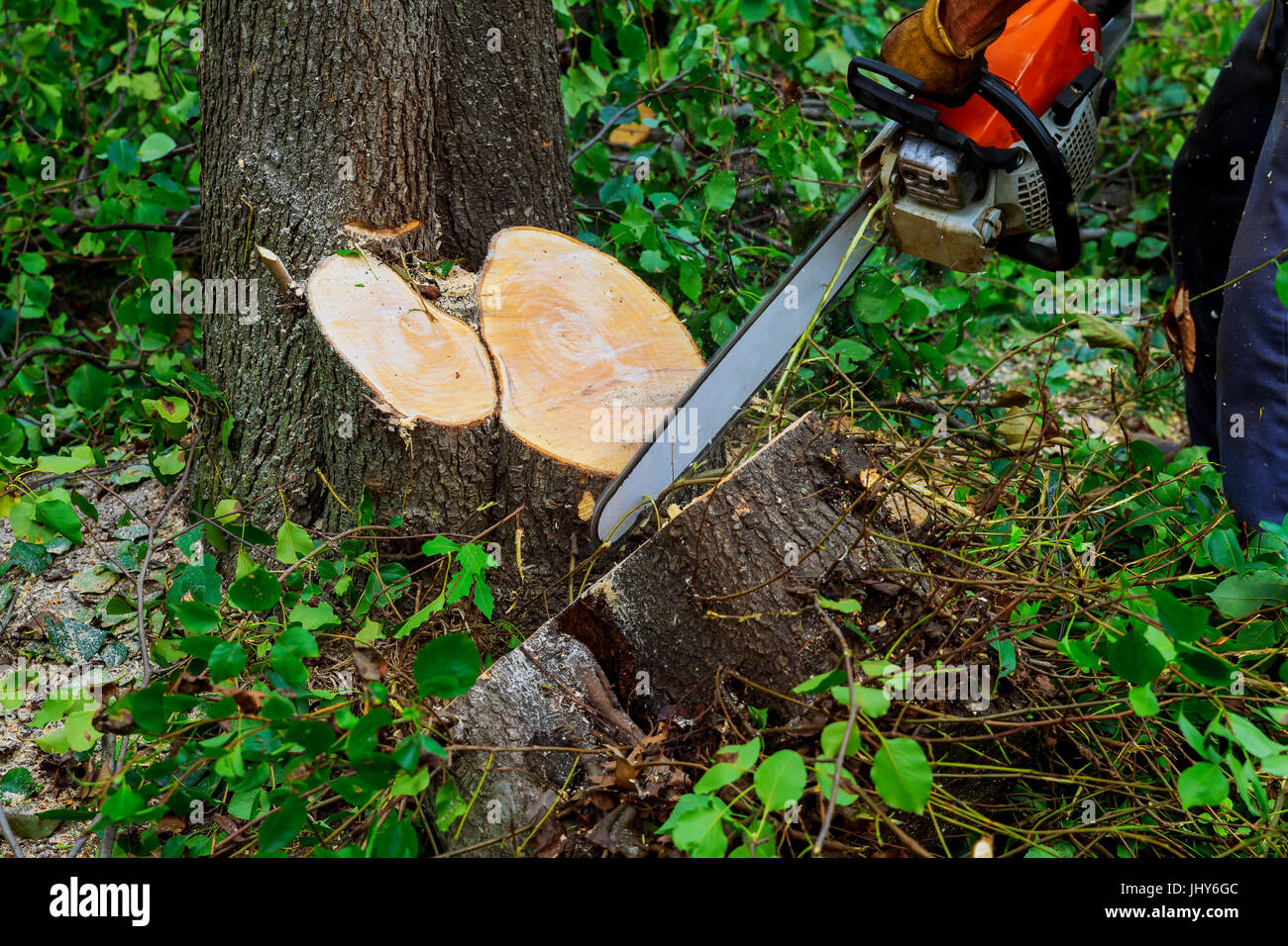Blade chainsaw cuts log hi-res stock photography and images - Alamy