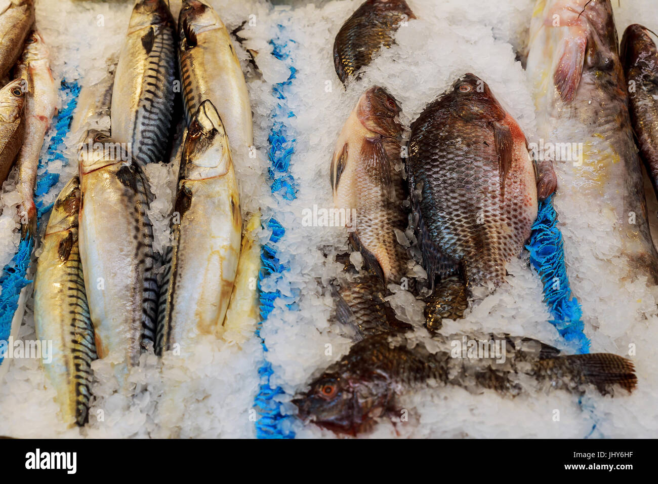 Fresh sea fish lying on ice on a counter in grocery store Stock Photo