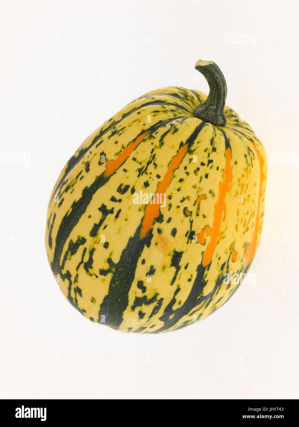 Ornamental pumpkin - Pumpkin, Zierkürbis - Pumpkin Stock Photo