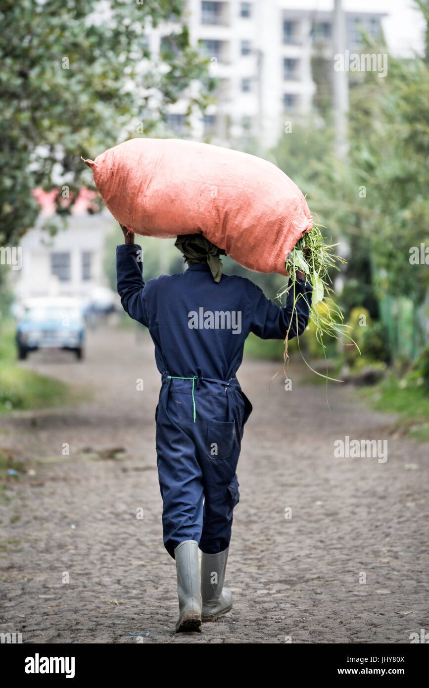 man worker labor carry hemp sack of grass on his shoulder in Addis Ababa Ethiopia Stock Photo