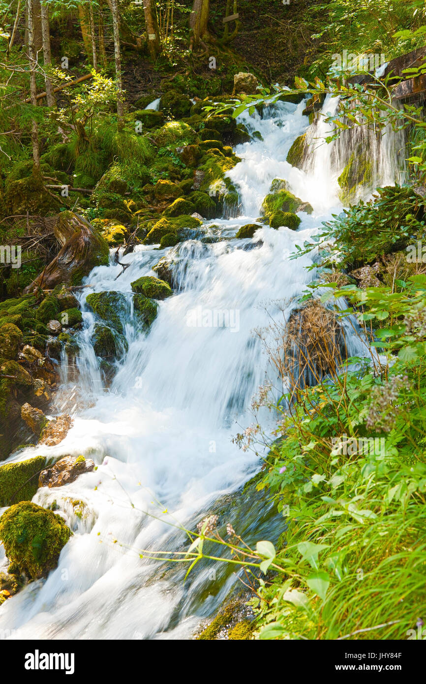 Wild brook - mountain torrent, Wildbach - mountain torrent Stock Photo