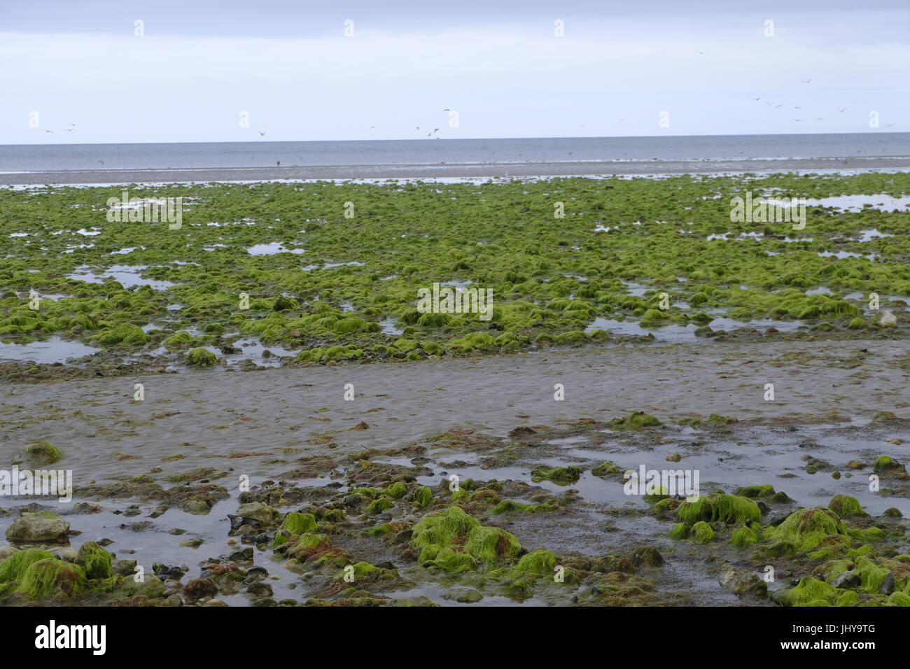 Ferring beach hires stock photography and images Alamy