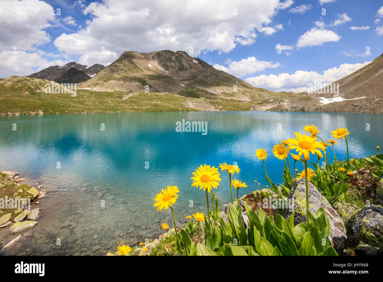 Turquoise lake framed by yellow flowers and rocky peaks, Joriseen, Jorifless Pass, canton of Graubunden, Engadine, Switzerland Stock Photo