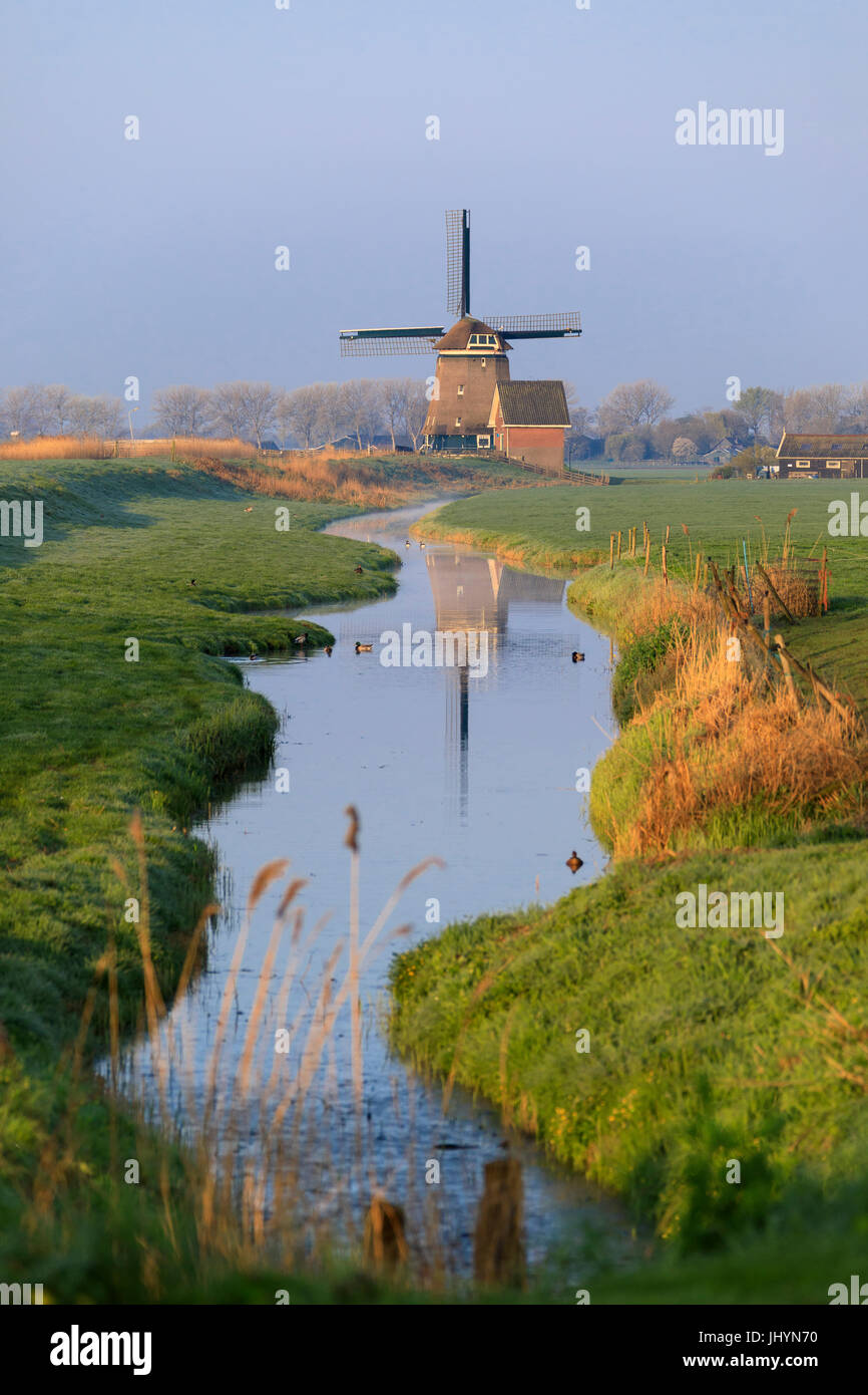 Typical windmill reflected in the canal at dawn, Berkmeer, municipality of Koggenland, North Holland, The Netherlands, Europe Stock Photo