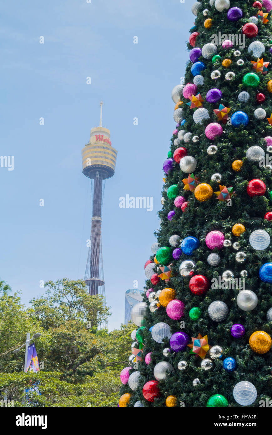 fir tree with Christmas decorations tower eye, Sydney, Australia Stock Photo