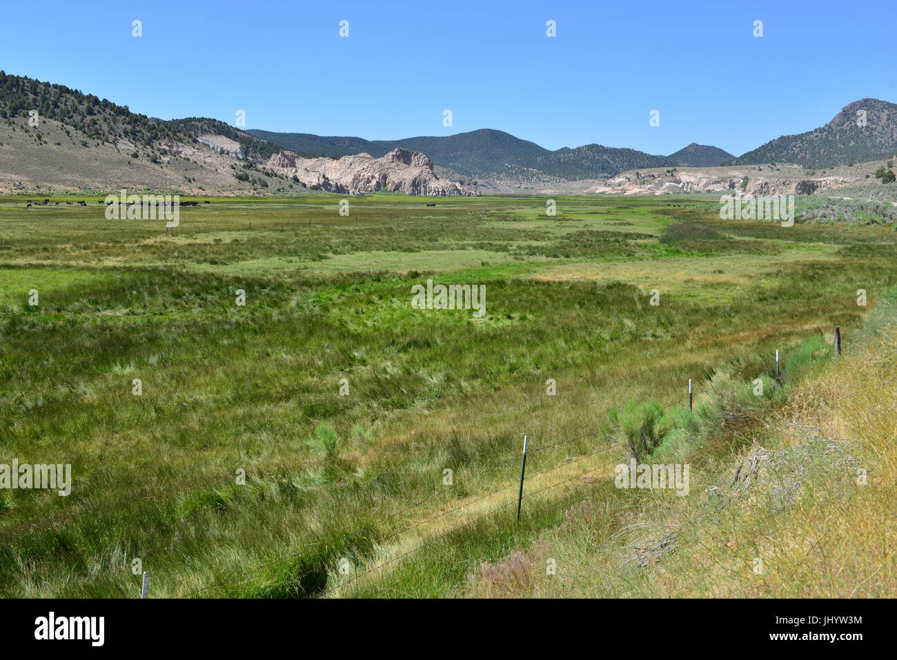 Spring Valley state park in Nevada in summertime Stock Photo Alamy