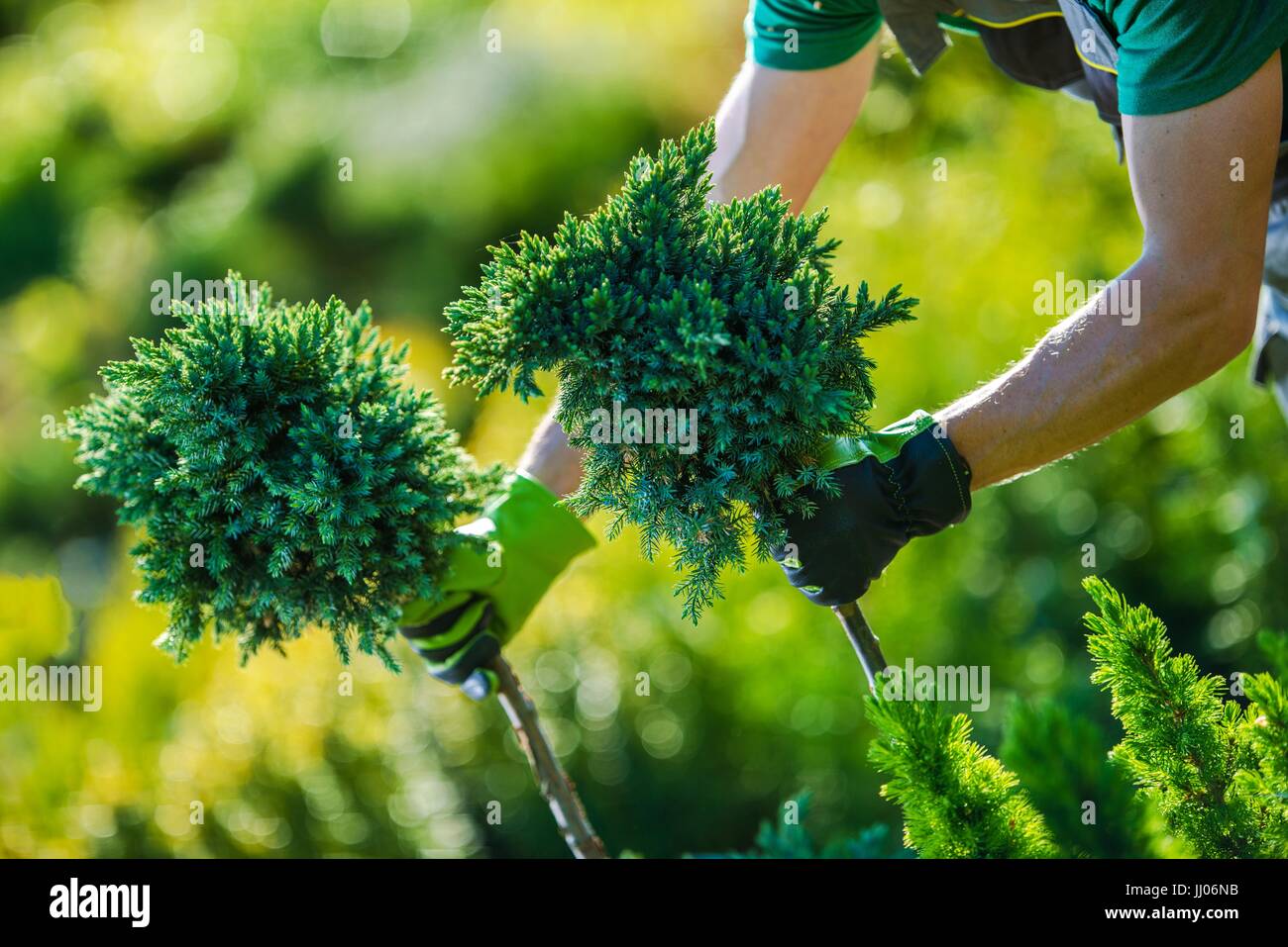 Garden Store Shopping. Caucasian Garden Designer Choosing Right Plants