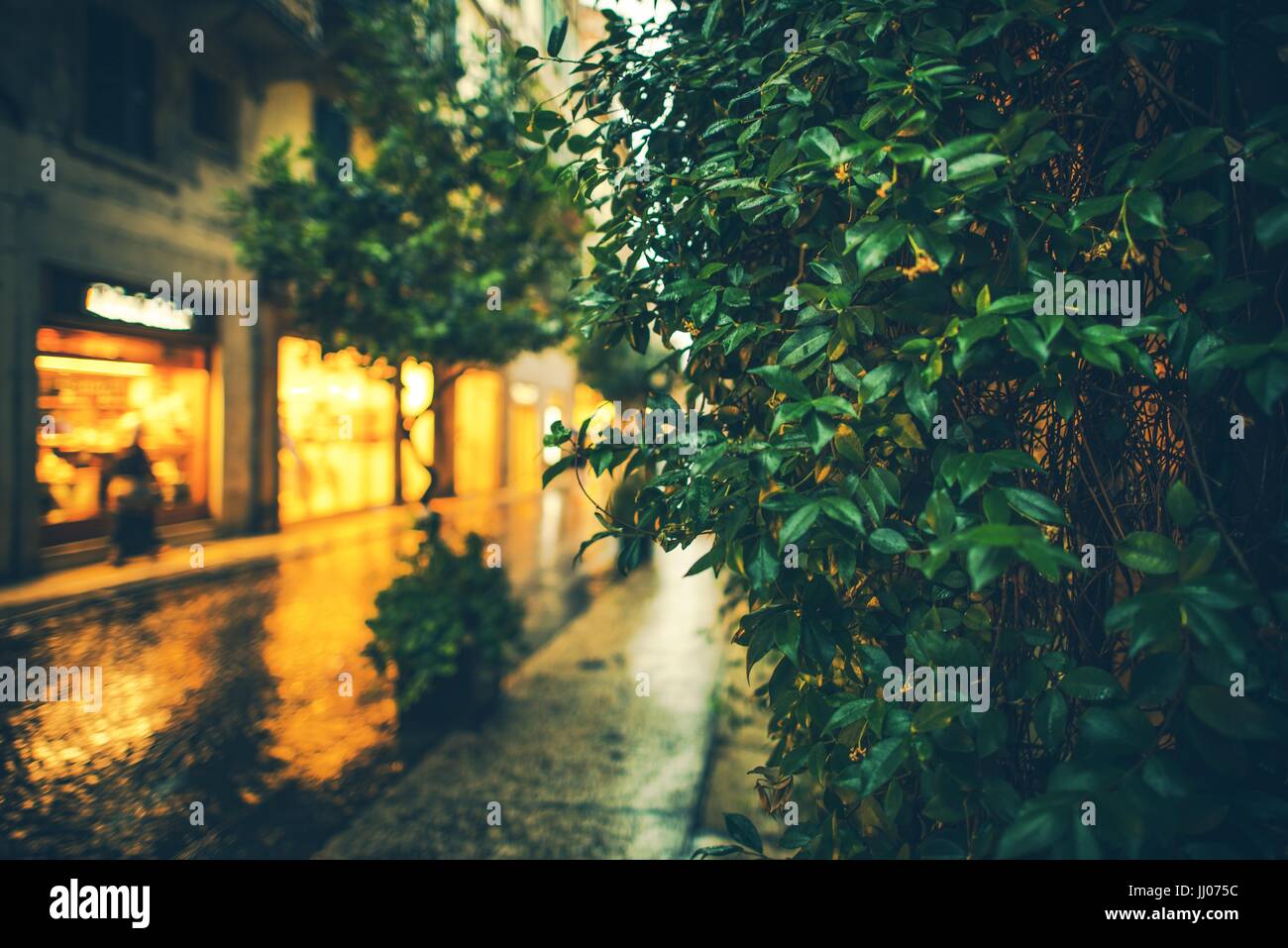 Urban Green Gardens. Importance of Plants and Green Places in a City Architecture. Stock Photo