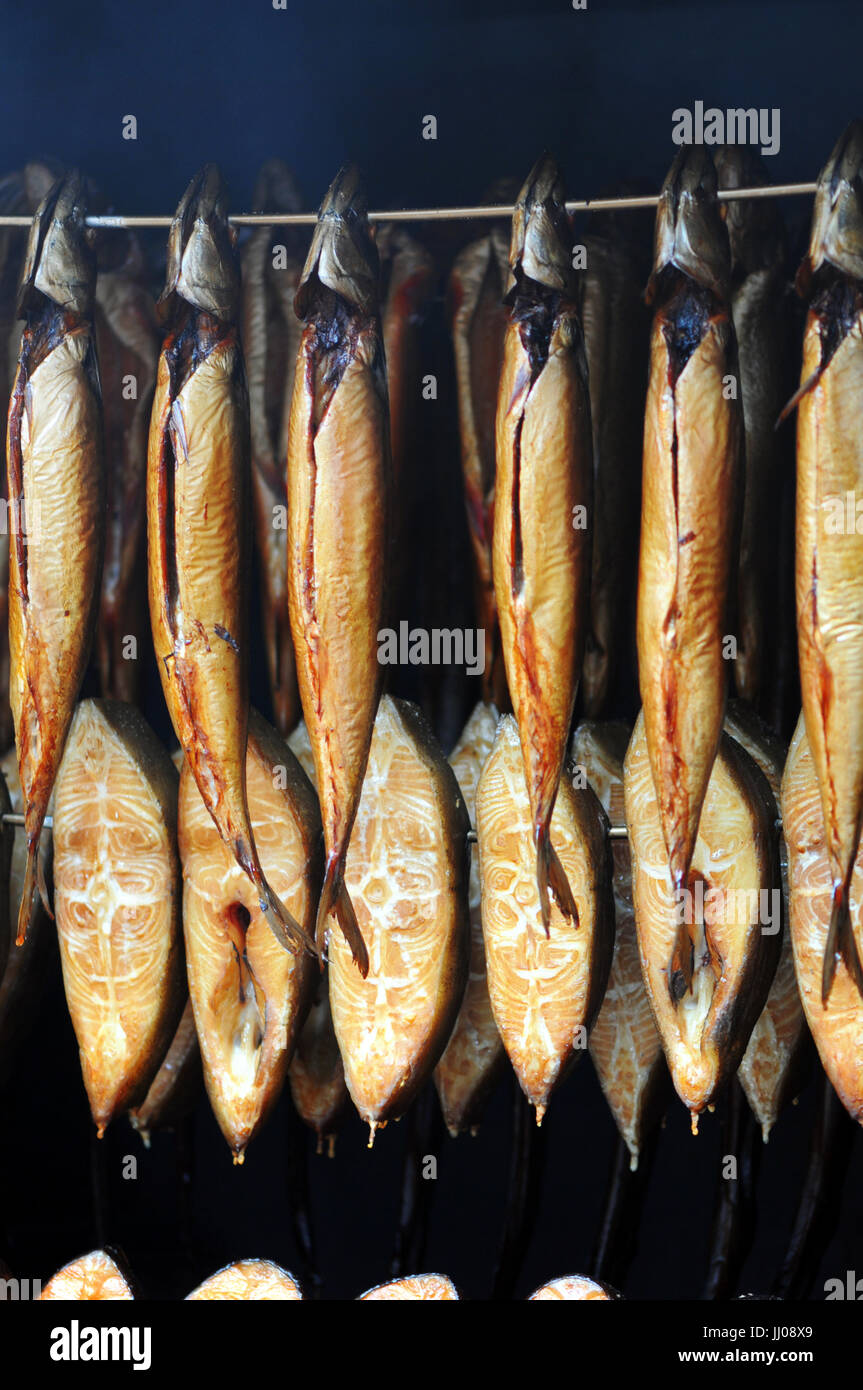 traditional fresh smoked fish in smoker Stock Photo Alamy