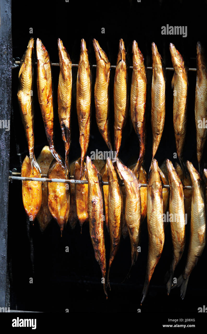 traditional fresh smoked fish in smoker Stock Photo Alamy