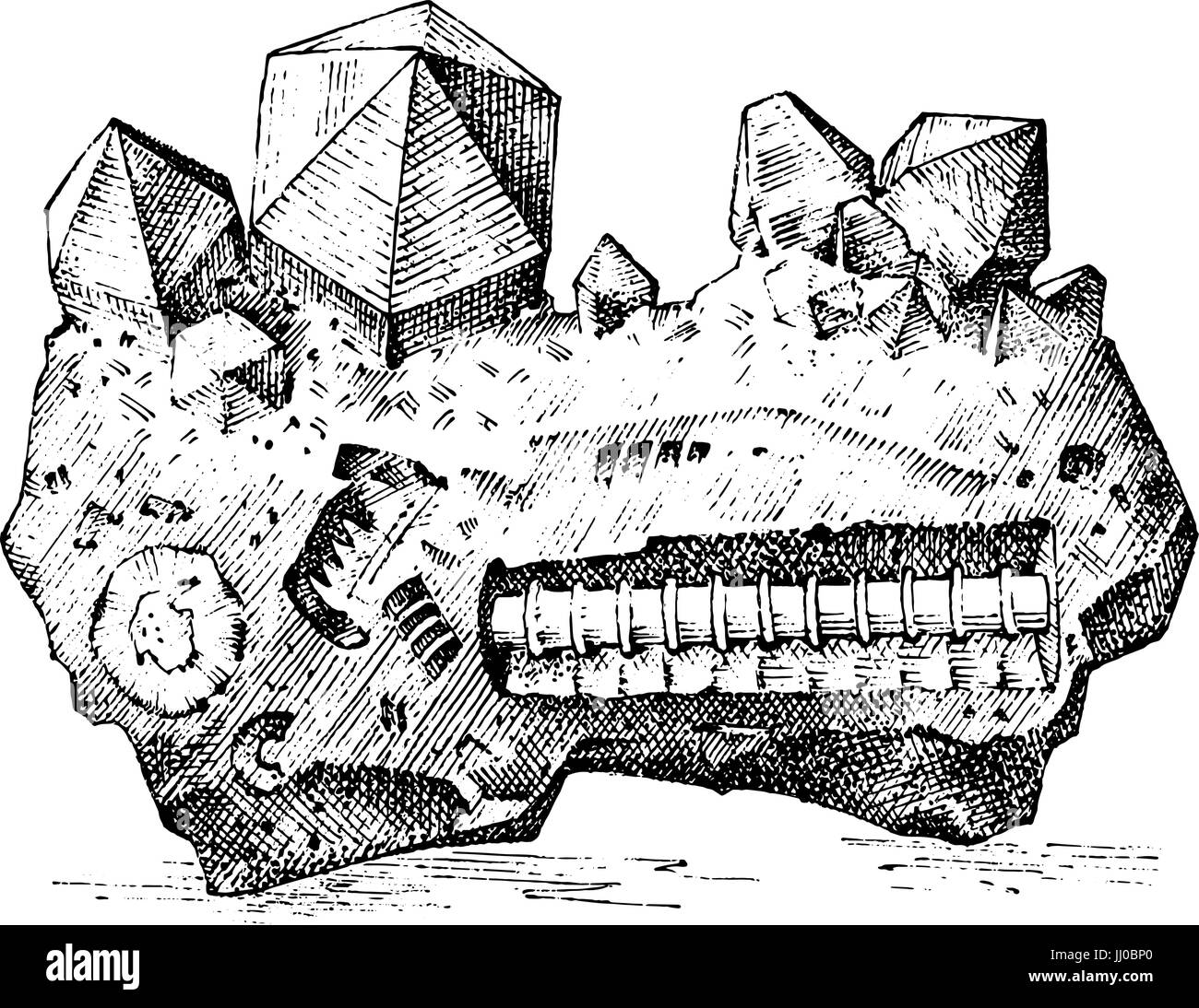 Fossilized plants, stones and minerals, crystals, prehistoric animals, archeology or paleontology. fragment fossils. engraved hand drawn in old sketch and vintage style. Stock Vector