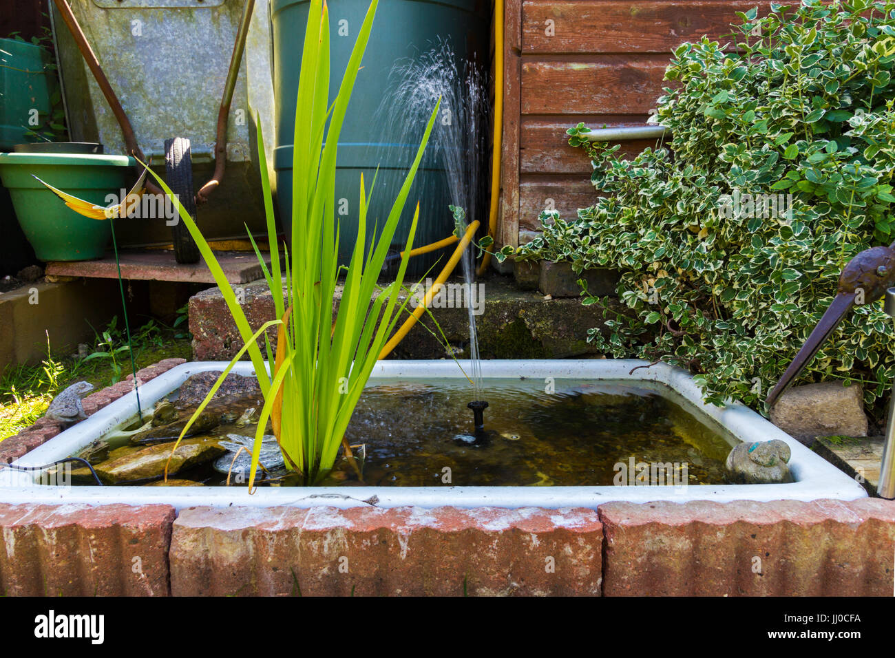 Garden Pond Using A Double Belfast Type Old Sink Lowered