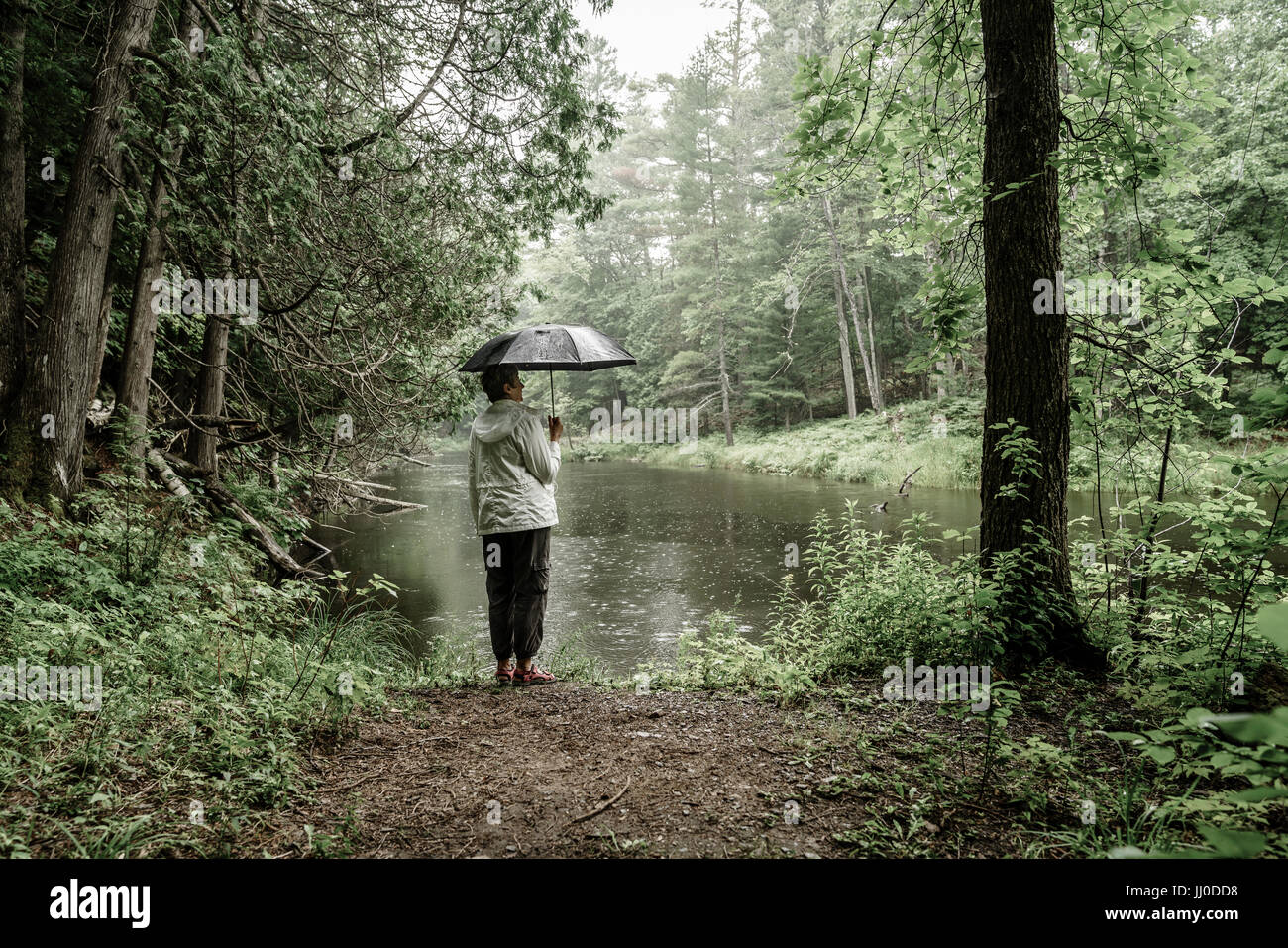 Woman with umbrella standing on a river bank in the rain Stock Photo