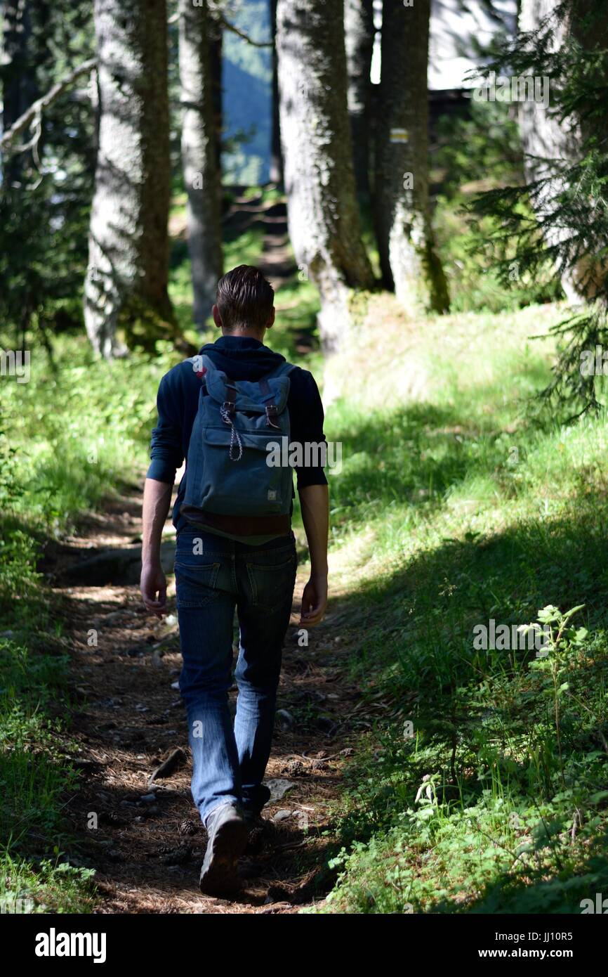Hiker in the forest Stock Photo