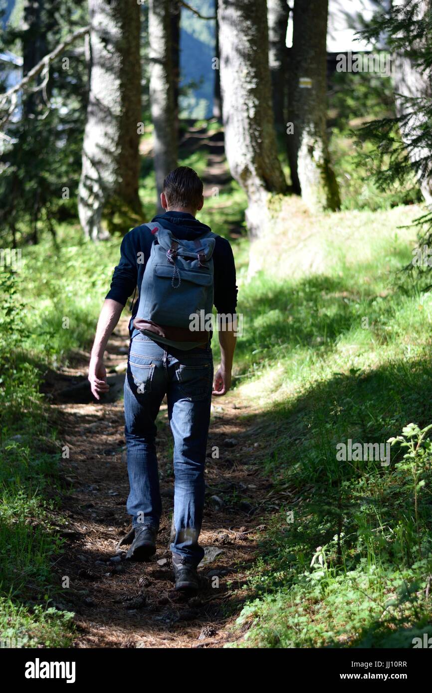 Hiker in the forest Stock Photo