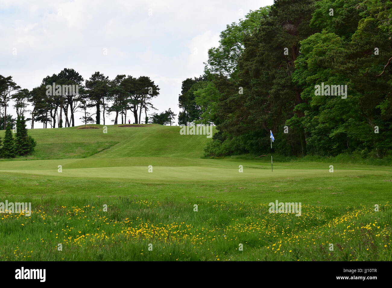 Golf pin flag Stock Photo Alamy
