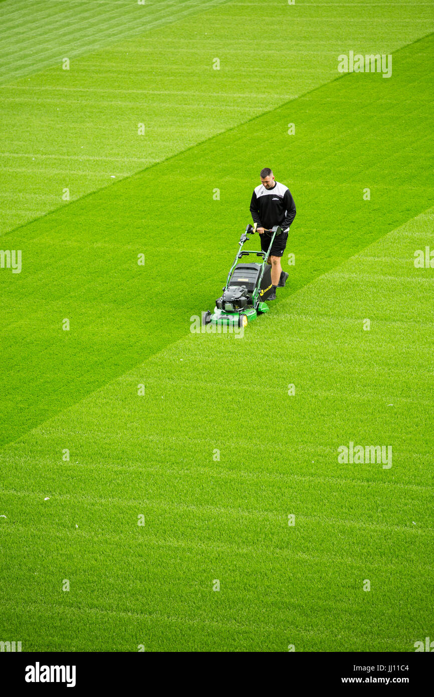 A groundsman cuts the grass at Ashton Gate stadium, Bristol. Stock Photo