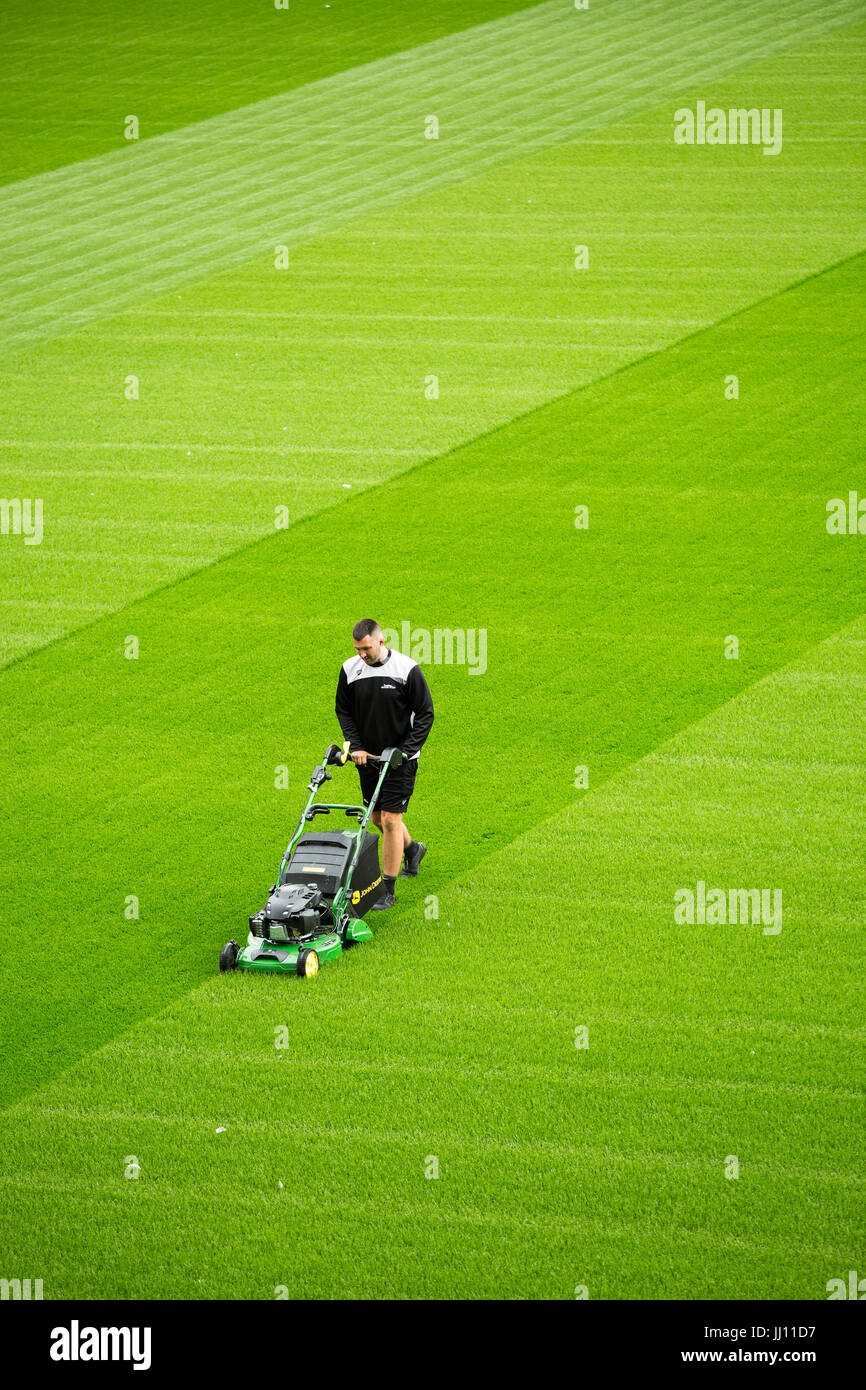 Football pitch grass cutting hi res stock photography and images Alamy