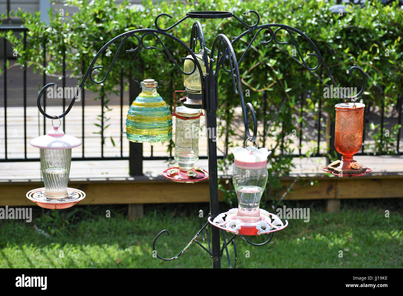 Clear glass hummingbird feeder hires stock photography and images Alamy