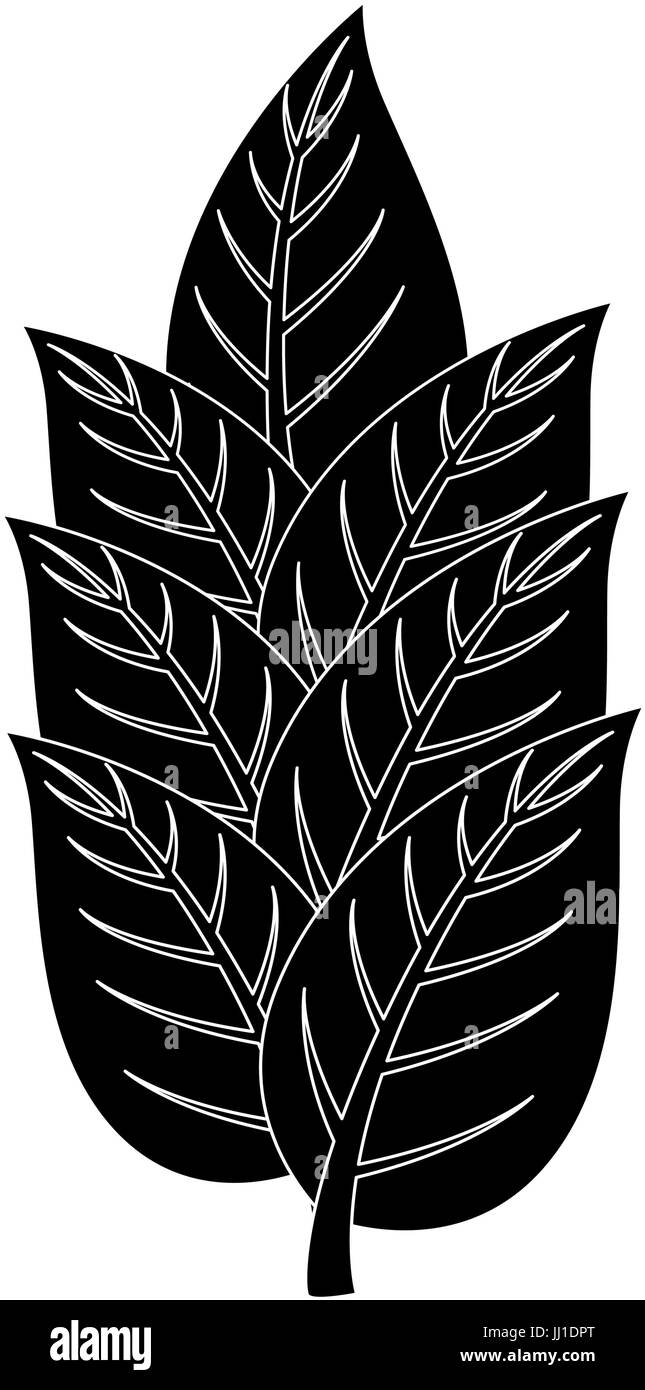 leaves icon image Stock Vector Image & Art - Alamy