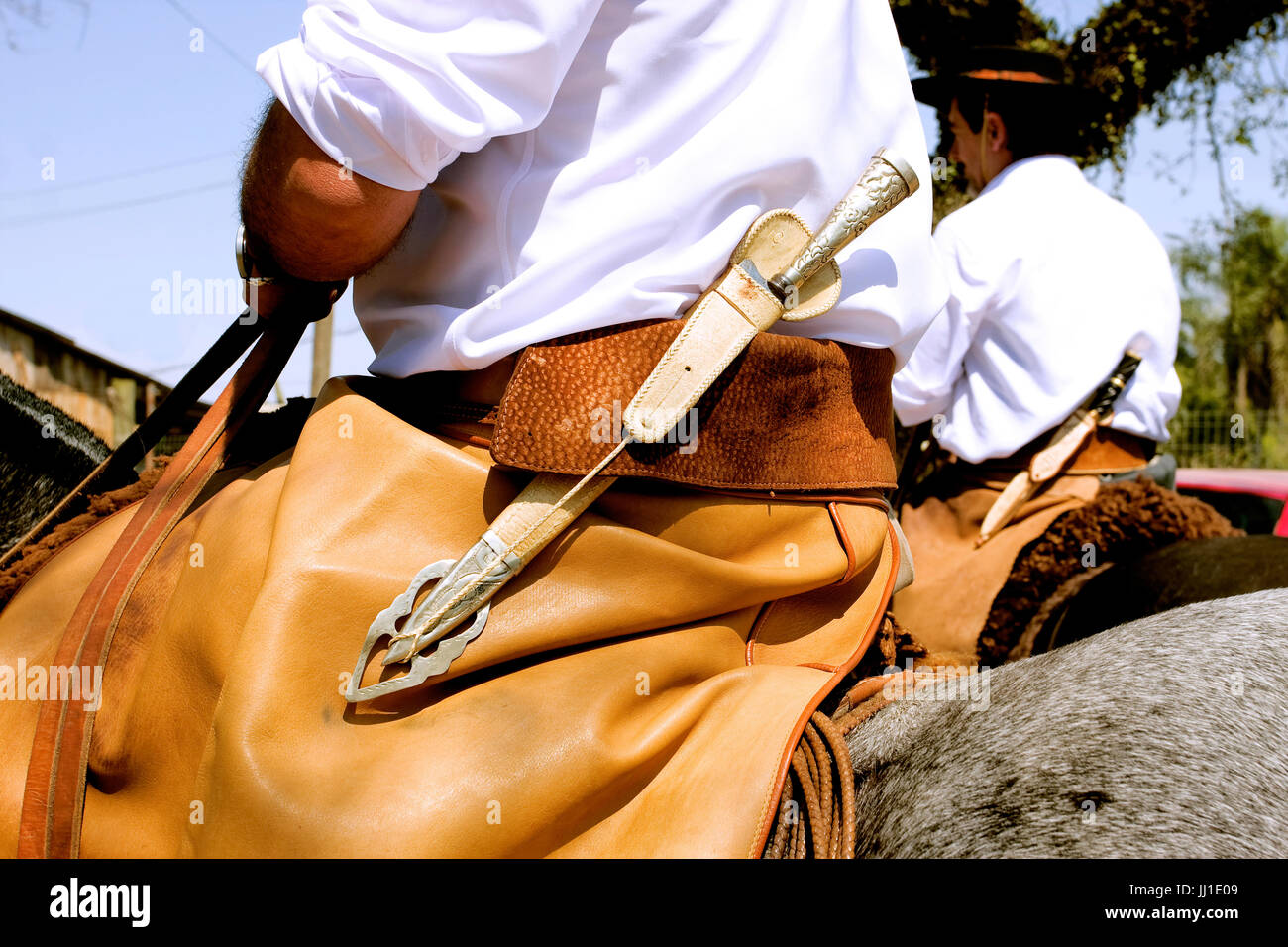 Rio Grande do Sul saddle gaucho crioulo horse fleece brown brownish lasso  rs rio grande do sul travel brazil animal mammal Stock Photo - Alamy