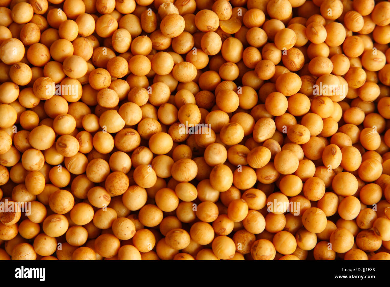 Light soybeans hires stock photography and images Alamy