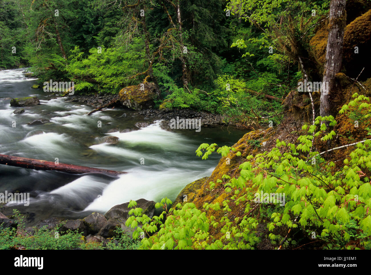 Sol Duc River, Olympic National Park, Washington Stock Photo Alamy