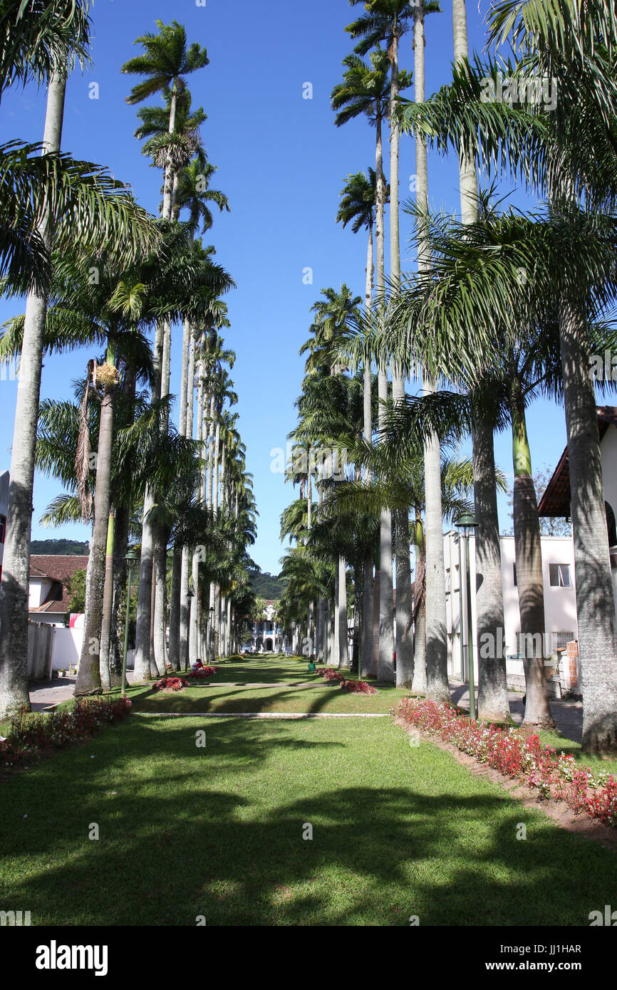 Santa catarina gardens hires stock photography and images Alamy