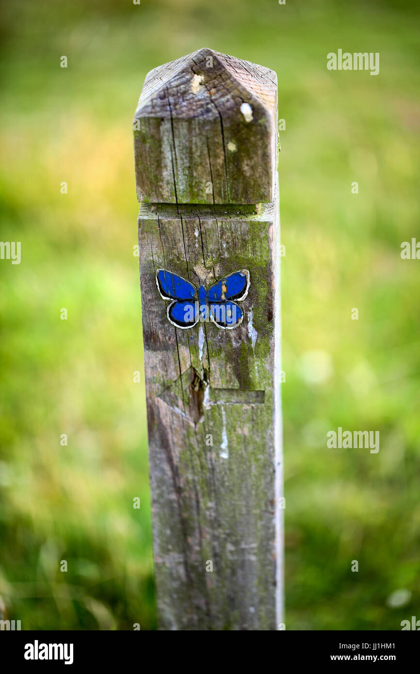 Prees heath common nature reserve hires stock photography and images