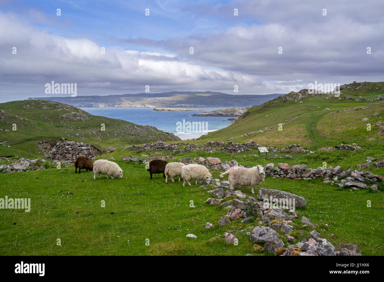 The Highland Clearances