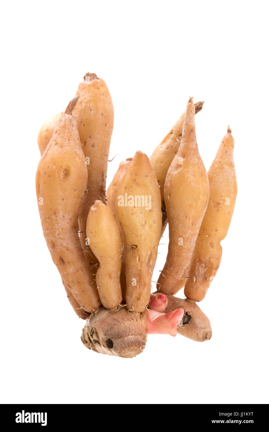 Galingale or Chinese ginger isolated on white background Stock Photo