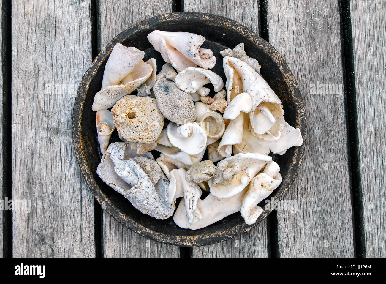 Worn out seashells in a round bowl. Stock Photo
