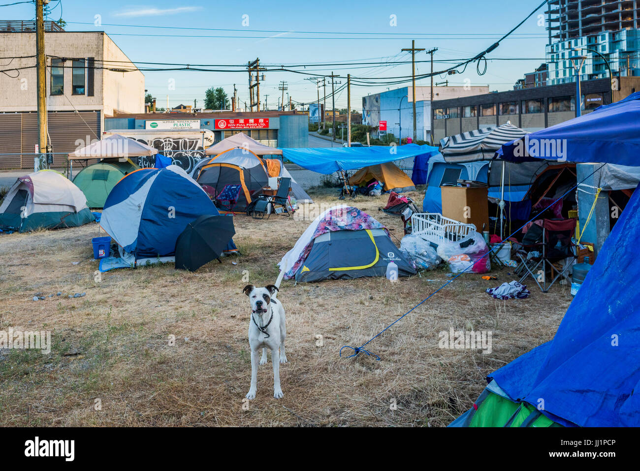Sugar Mountain Tent City Homeless Camp, DTES, Vancouver, British Columbia, Canada. Stock Photo