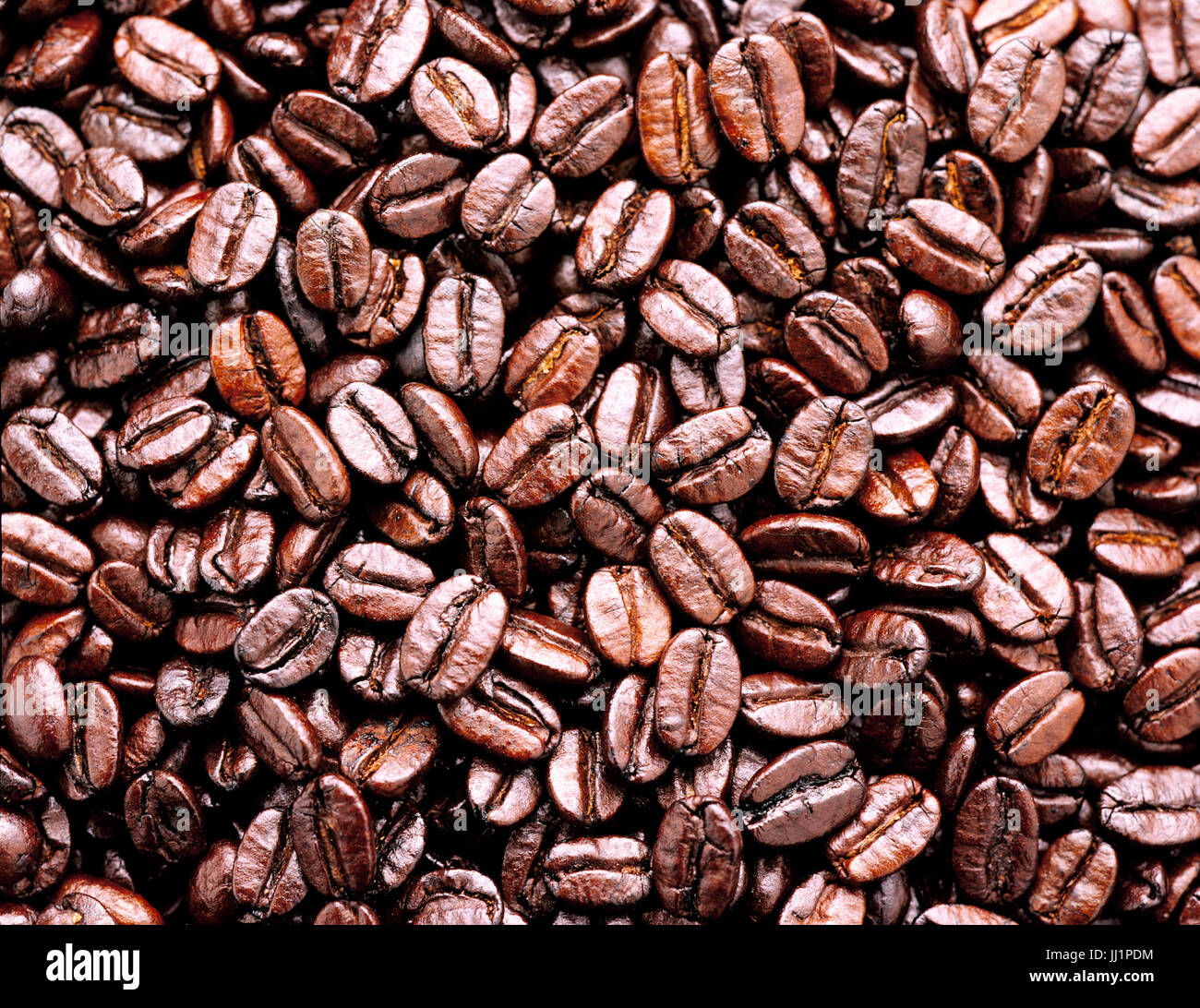 coffee beans, Porto alegre, Rio grande do Sul, Brazil. Stock Photo