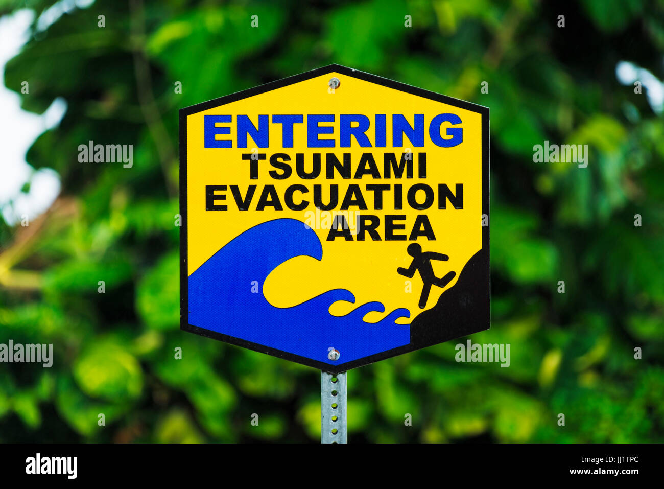 Tsunami zone big island