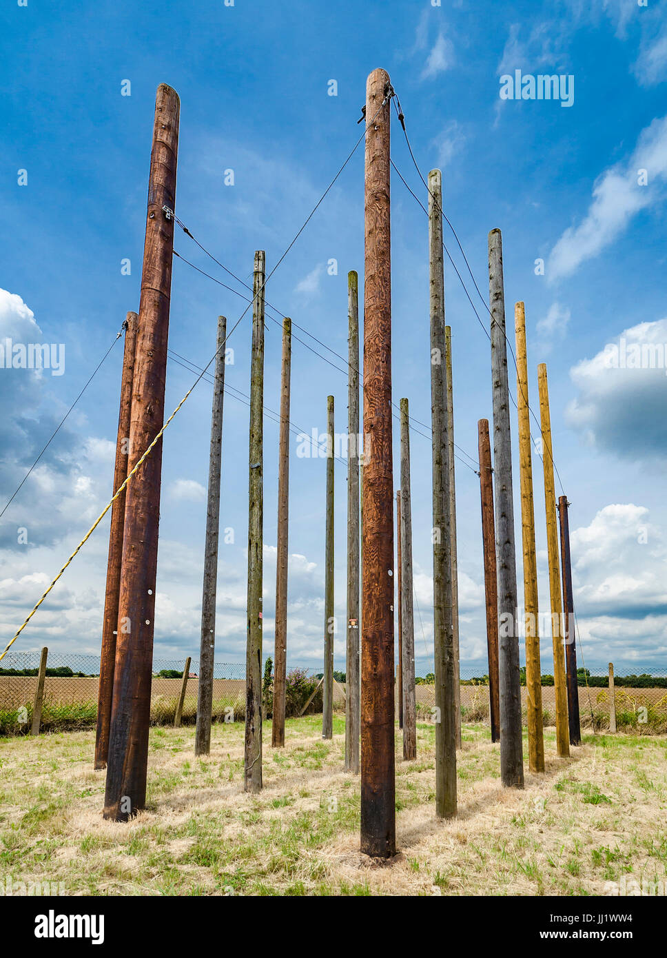 Collection of telegraph poles. Stock Photo