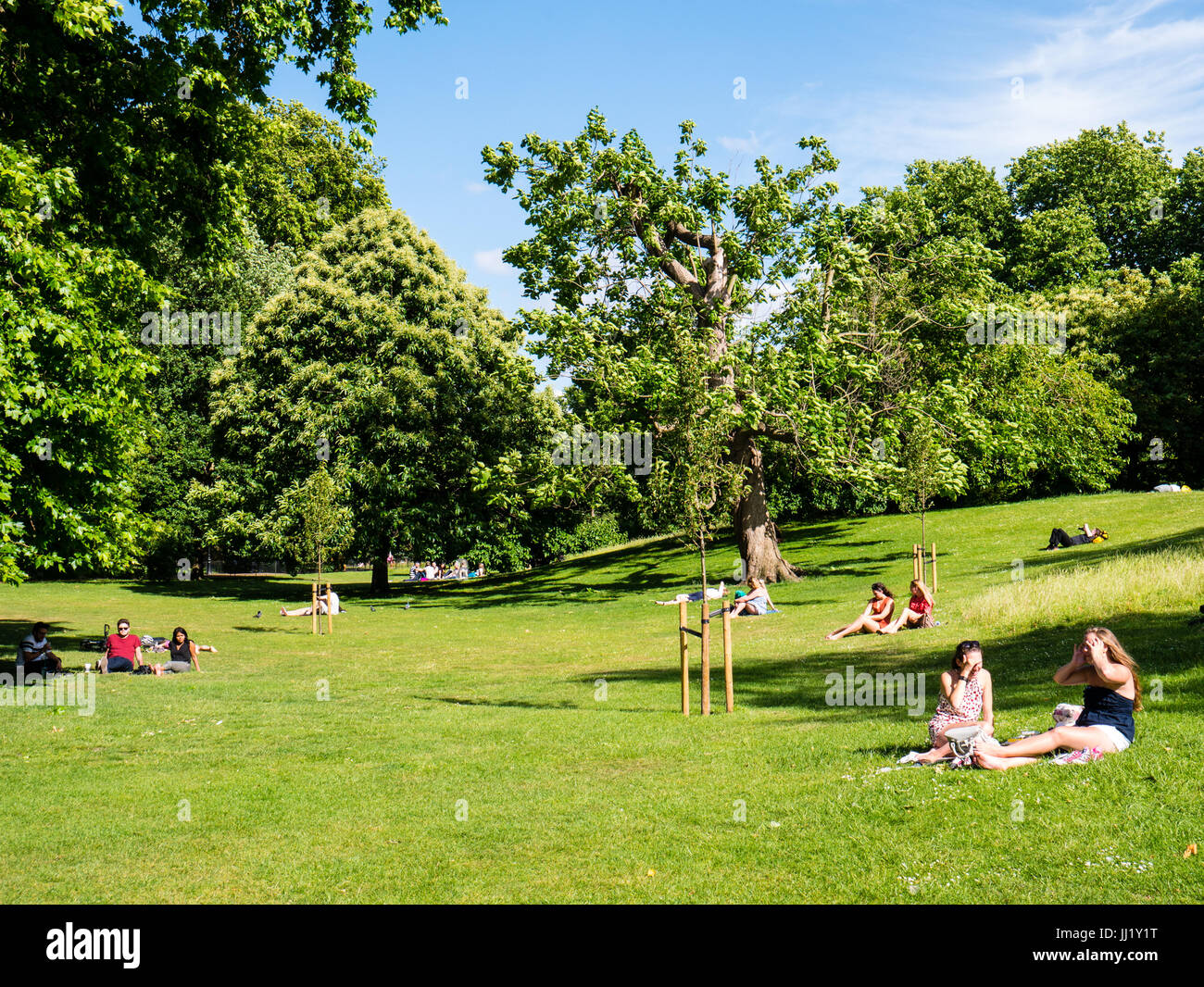Summer Evening St James Park, London, England Stock Photo Alamy