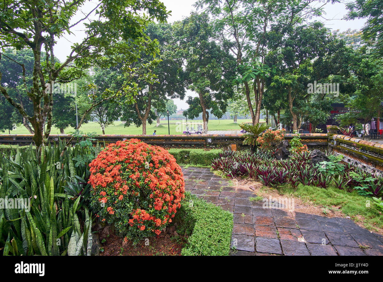 Plants, flowers and trees in the mist or fog. Park in the imperial city in vietnam. Stock Photo