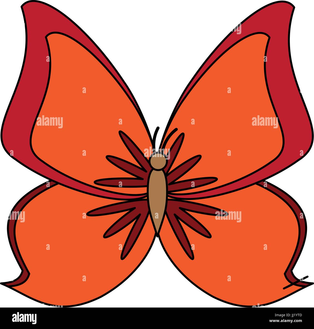 butterfly vector illustration Stock Vector Image & Art - Alamy