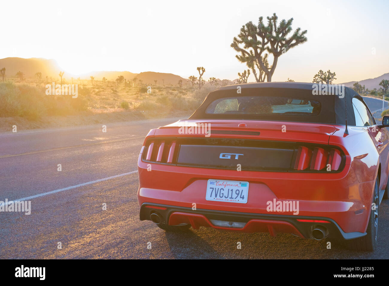 Mustang GT convertible car at sunset in Joshua Tree National Park, California, USA Stock Photo