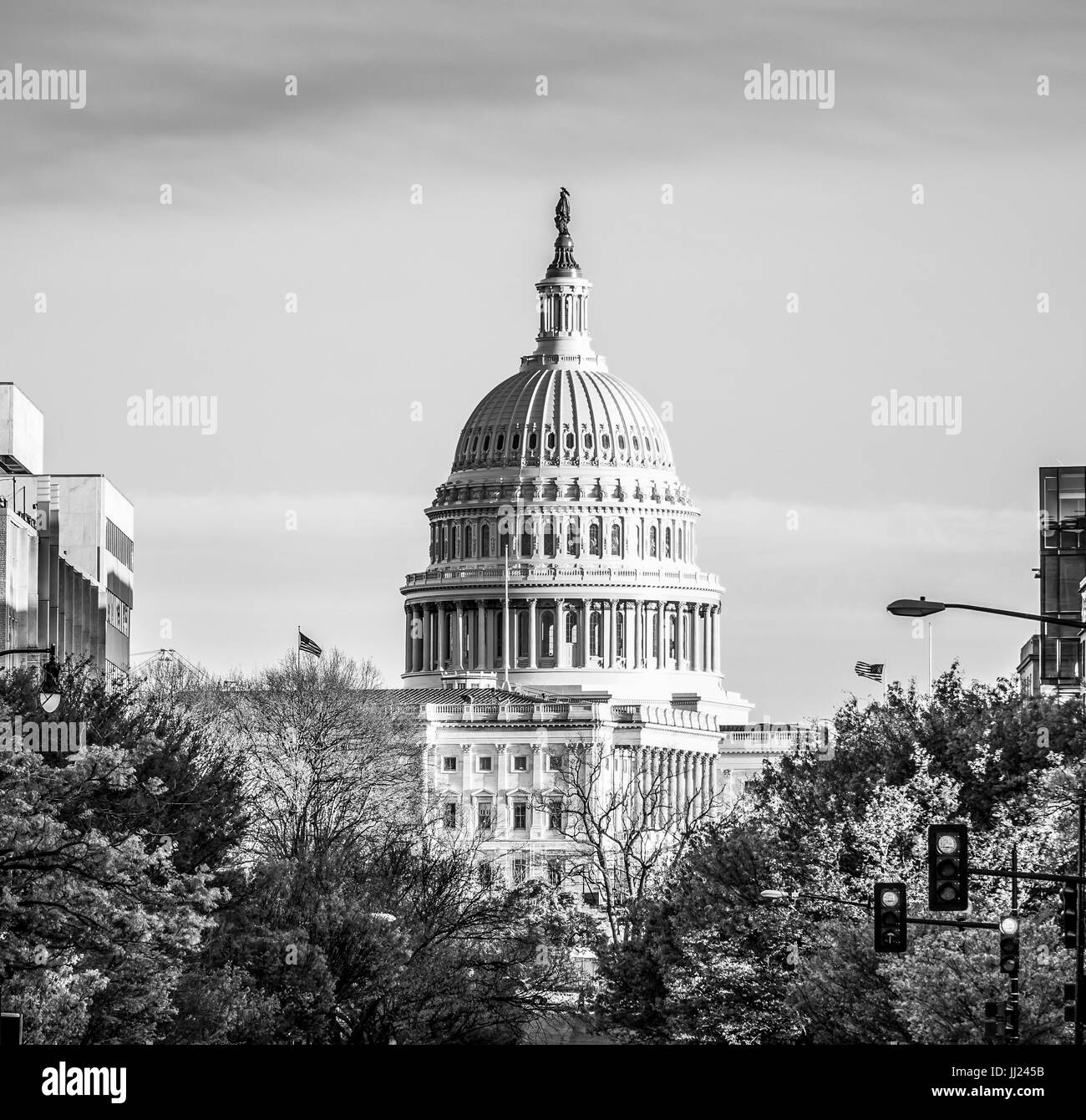 Famous US Capitol in Washington DC Stock Photo - Alamy