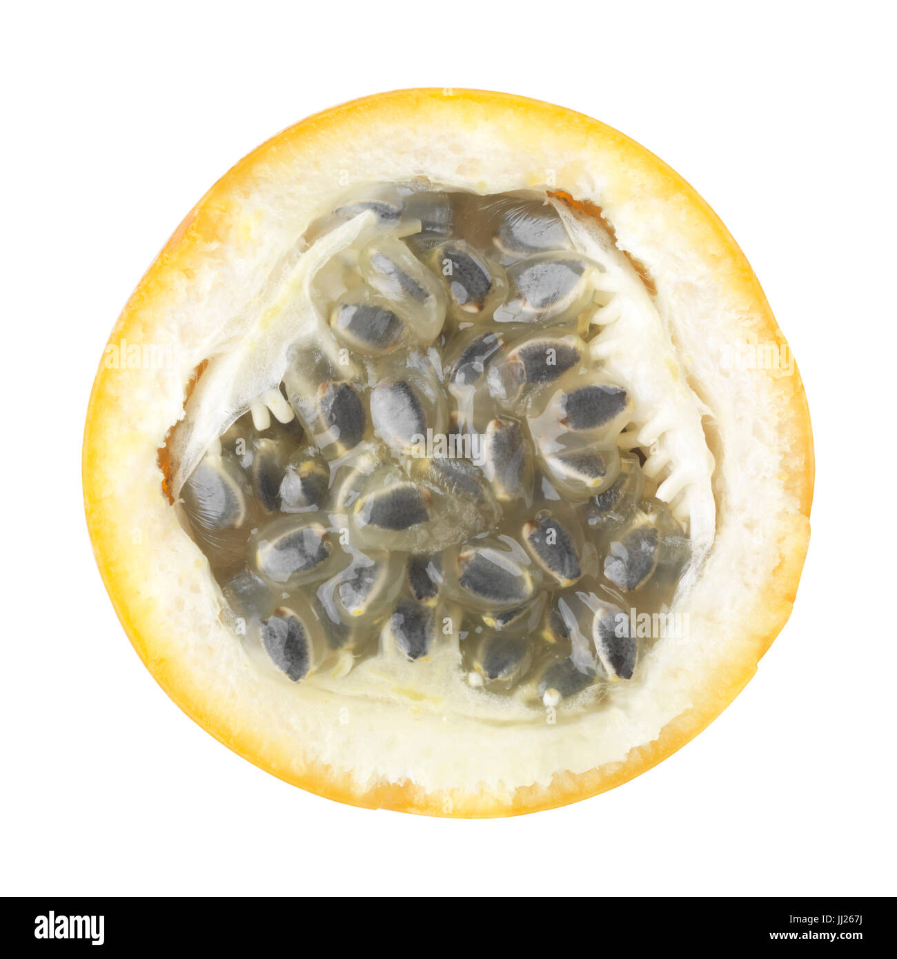 My Image 31