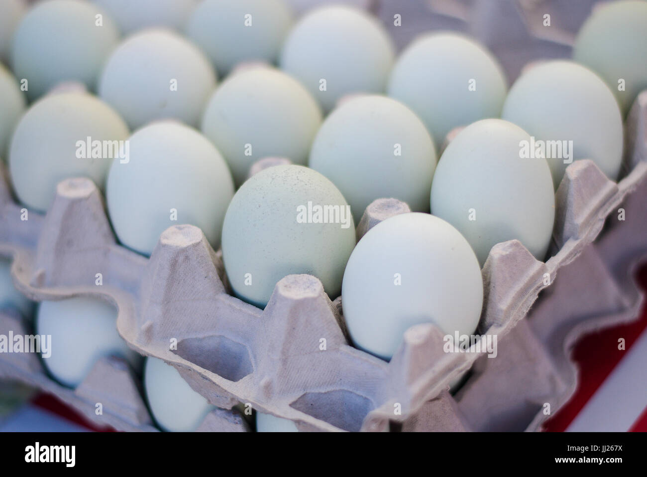 Organic fresh farmer's market eggs in crates Stock Photo