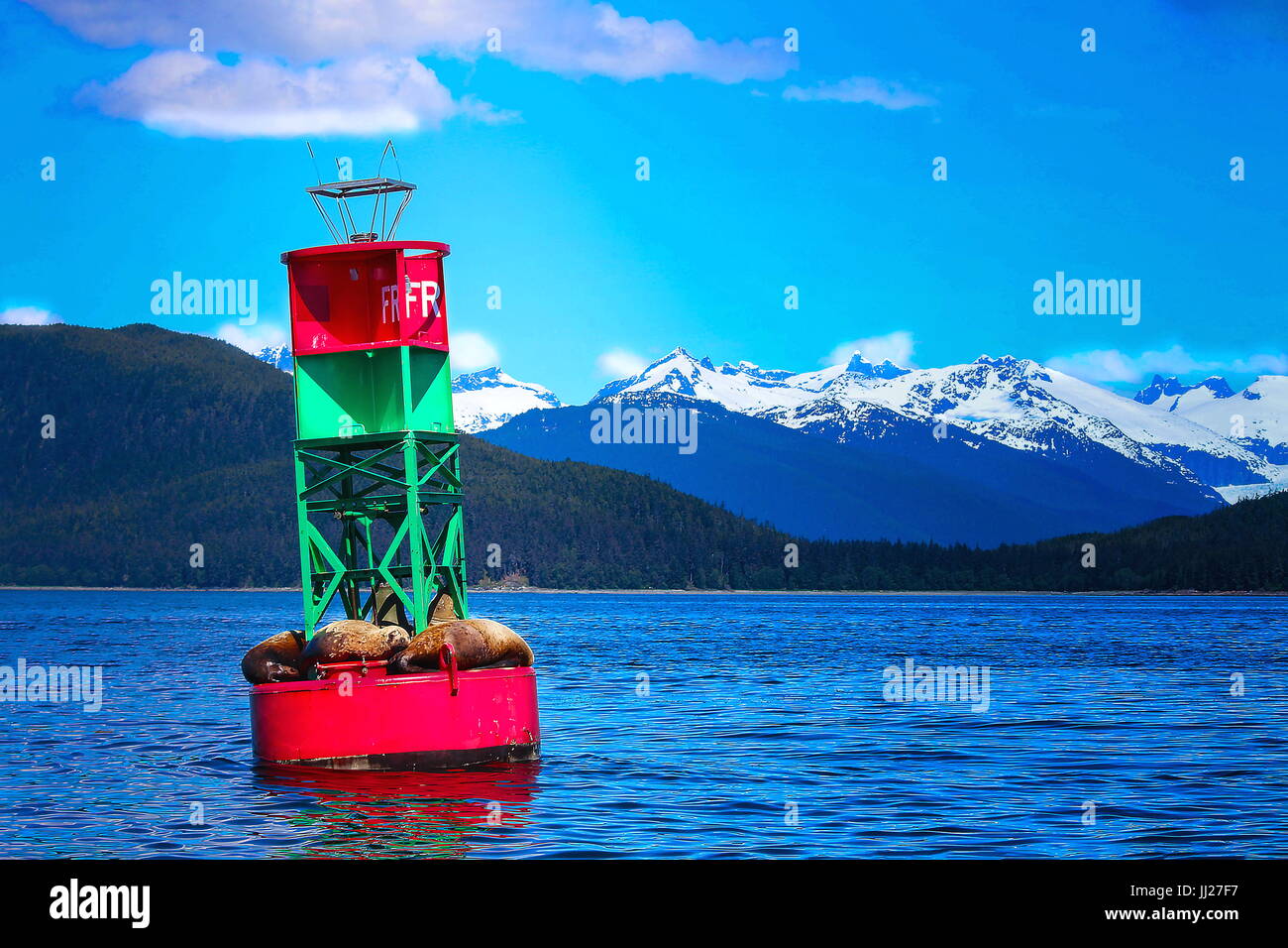 Seals bask on buoy in Juneau, AK Stock Photo
