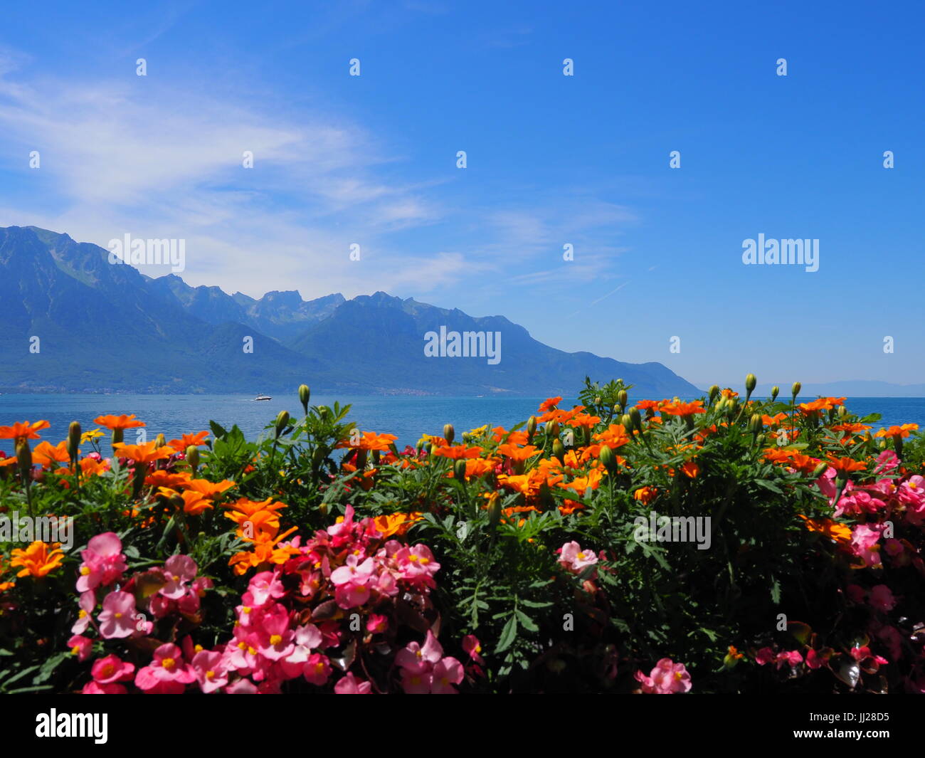 Beauty colorful flowers on promenade in MONTREUX city at Lake Geneva in