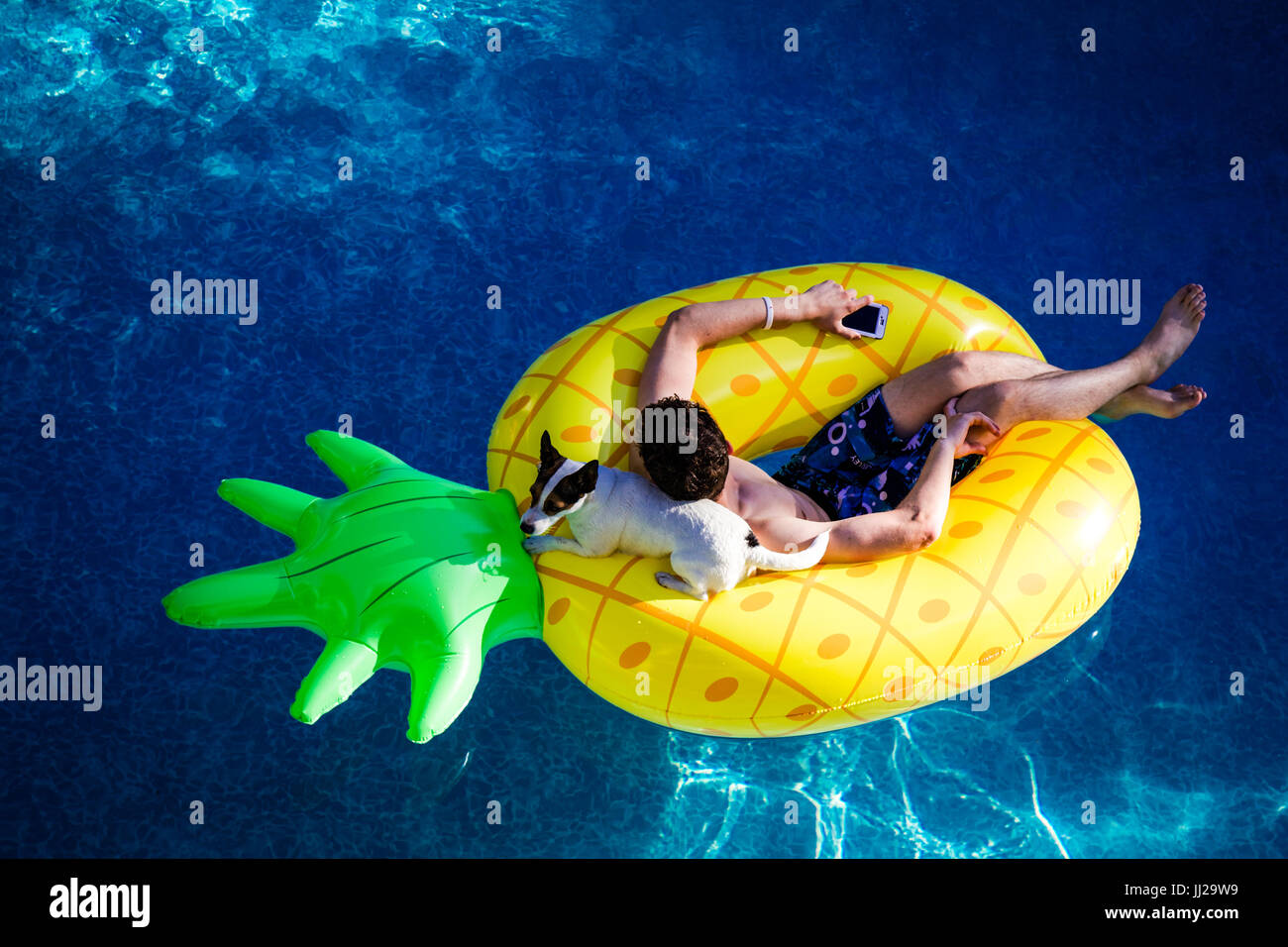 Teenage boy and Jack Russell Terrier dog relaxing while floating on a pineapple shaped pool toy in an outdoor swimming pool. Stock Photo